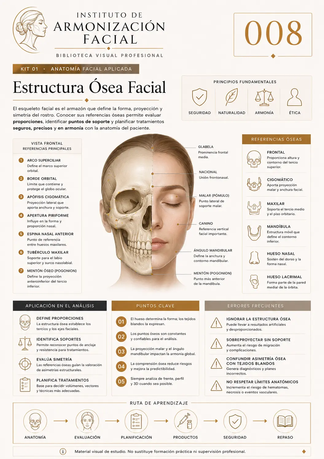 Hoja de estudio visual: Estructura ósea facial