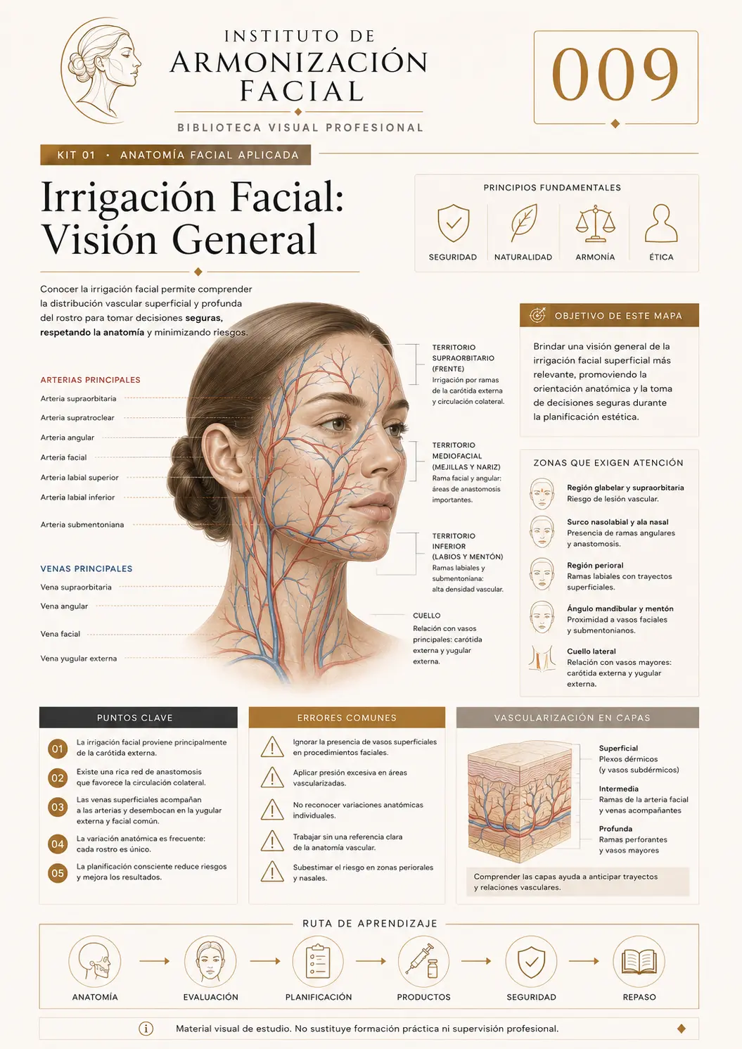 Hoja de estudio visual: Irrigación facial: visión general