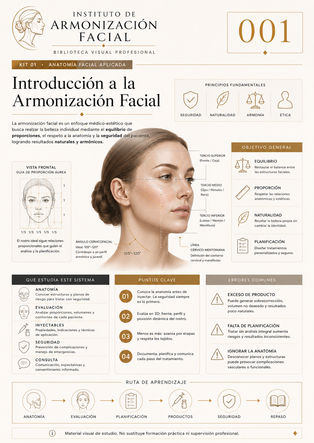 Lámina clínica: Introducción a la armonización facial