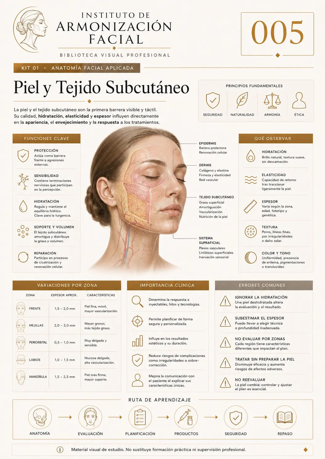 Hoja de estudio visual: Piel y tejido subcutáneo